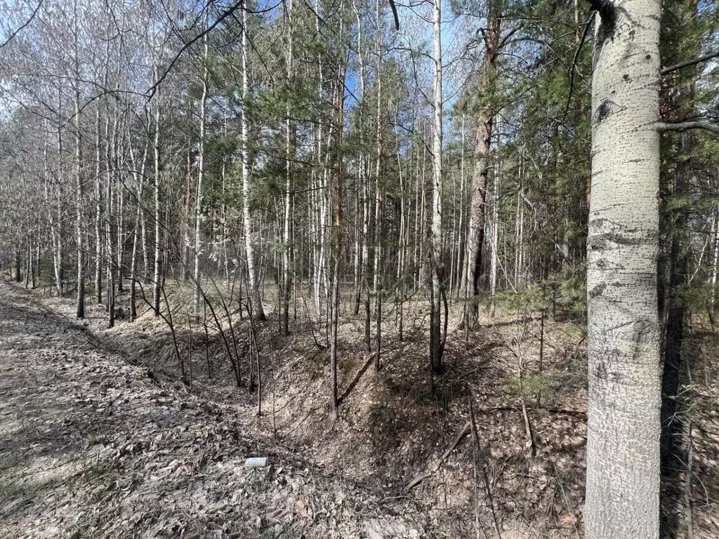 Участок в Тюменская область, Нижнетавдинский район, Геолог-2 СНТ  ... - Фото 0