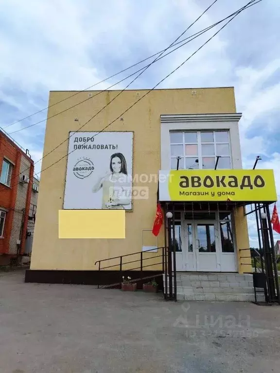 Торговая площадь в Пензенская область, с. Бессоновка ул. ... - Фото 2