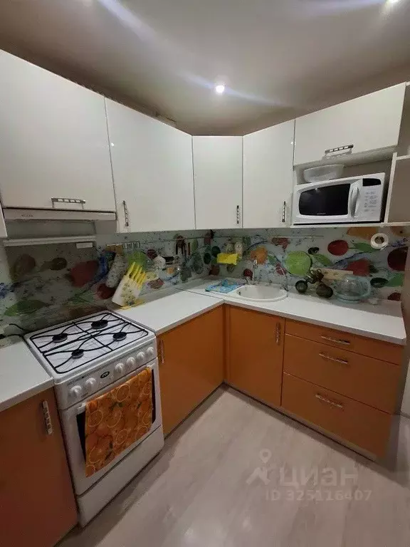 3-к кв. Свердловская область, Екатеринбург пер. Черниговский, 10 (57.0 ... - Фото 2