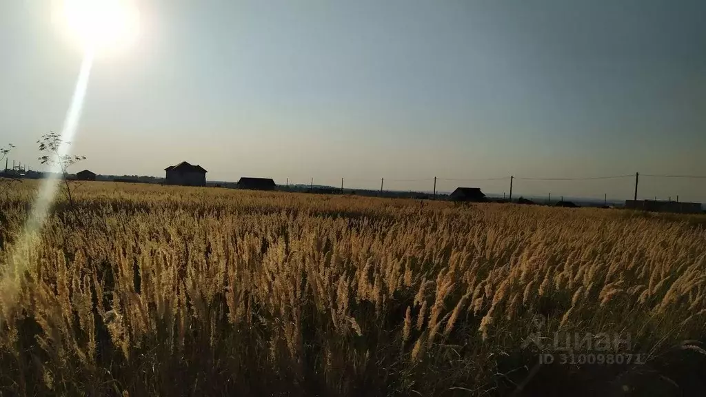 Участок в Курская область, Курский район, Новопоселеновский сельсовет, ... - Фото 0