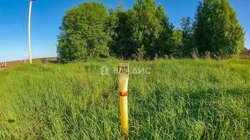 Участок в Владимирская область, Суздальский район, Боголюбовское ... - Фото 0