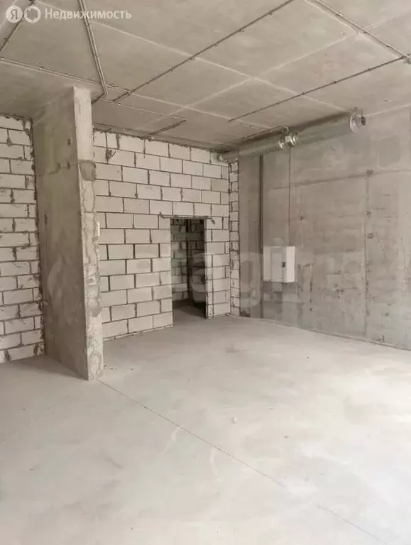 Помещение свободного назначения (48.3 м) - Фото 2