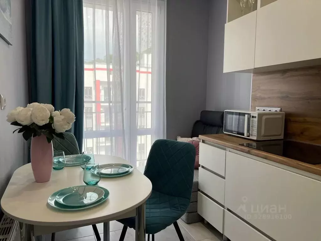 1-к кв. Краснодарский край, Сочи ул. Искры, 88к2 (28.0 м) - Фото 1