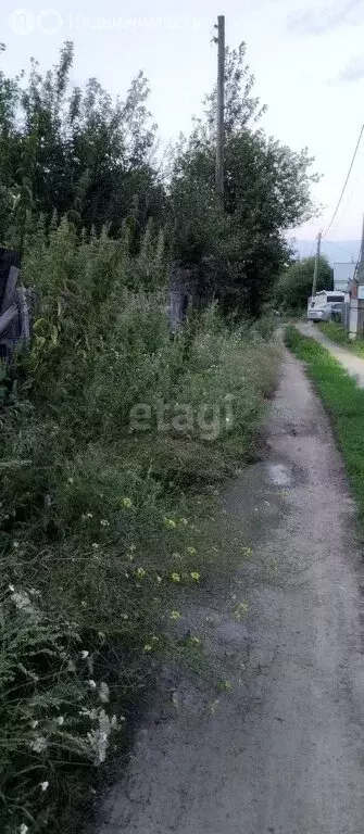 Участок в Челябинская область, село Аргаяш (4 м) - Фото 1