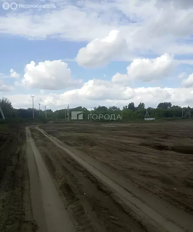 Участок в Первомайский район, село Фирсово (8.6 м) - Фото 1