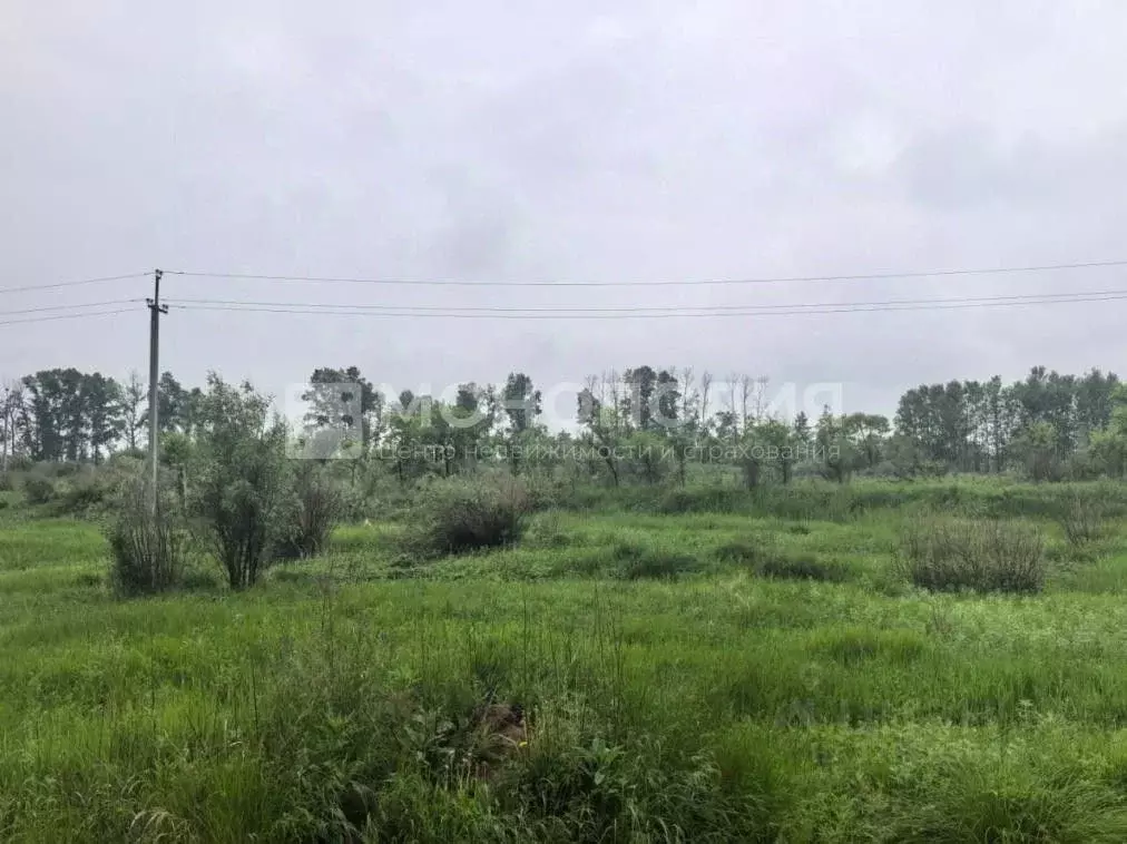 Участок в Амурская область, Белогорский муниципальный округ, с. ... - Фото 1