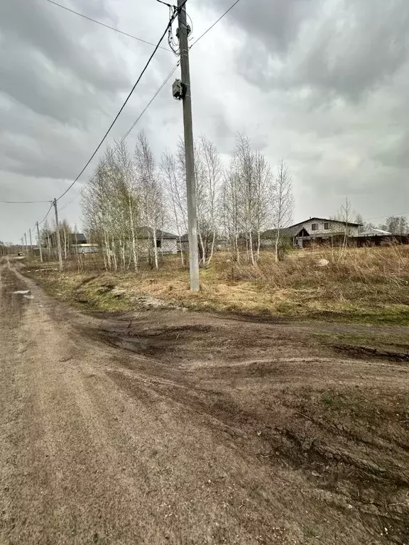 Участок в Новосибирская область, Новосибирский район, с. Верх-Тула ул. ... - Фото 0