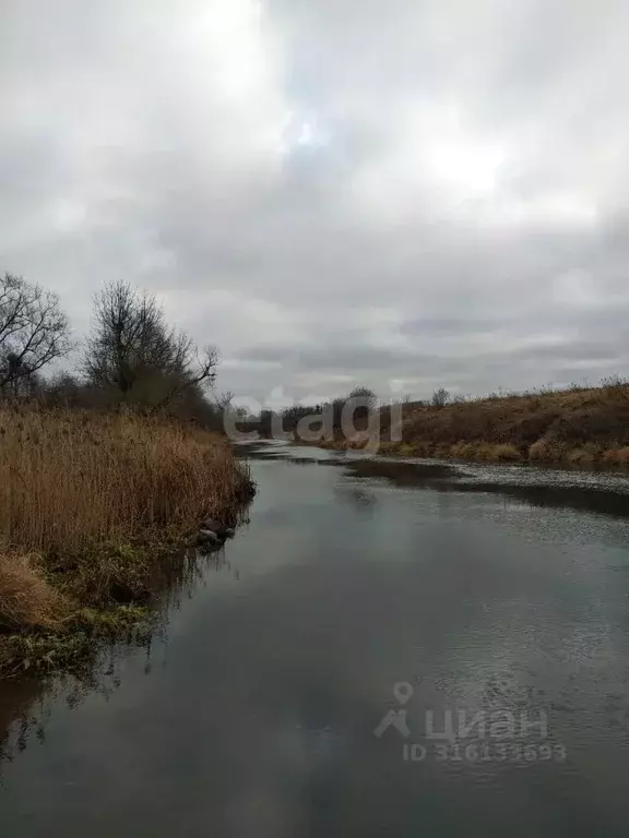 Участок в Калининградская область, Правдинский муниципальный округ, ... - Фото 1