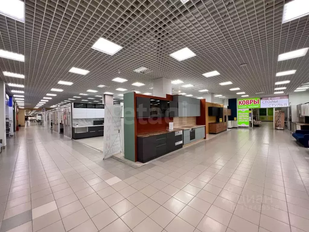 Торговая площадь в Тюменская область, Тюмень ул. 30 лет Победы, 7/5 ... - Фото 0