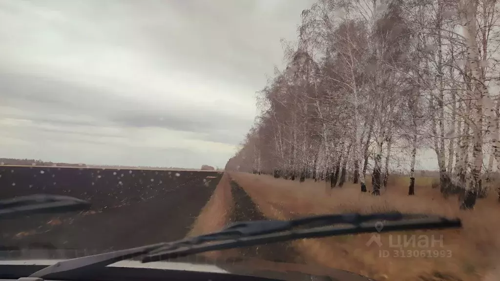 Участок в Омская область, Калачинский район, с. Репинка  (6.0 сот.) - Фото 1