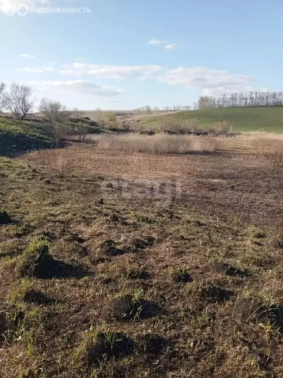 Участок в село Алтайское, Советская улица (230 м) - Фото 1