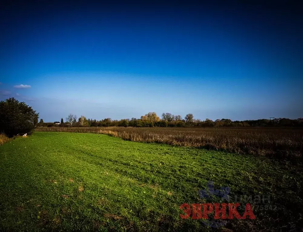 Участок в Краснодарский край, Крымск  (285.0 сот.) - Фото 2