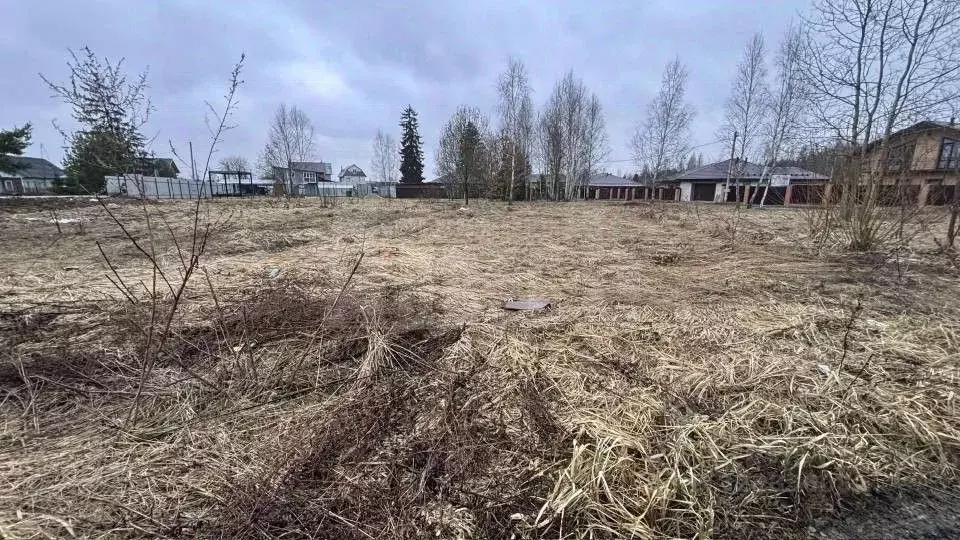 Участок в Калужская область, Жуковский муниципальный округ, с. Совхоз ... - Фото 1