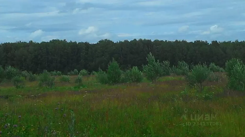 Участок в Калужская область, Тарусский район, Некрасово с/пос, д. ... - Фото 1
