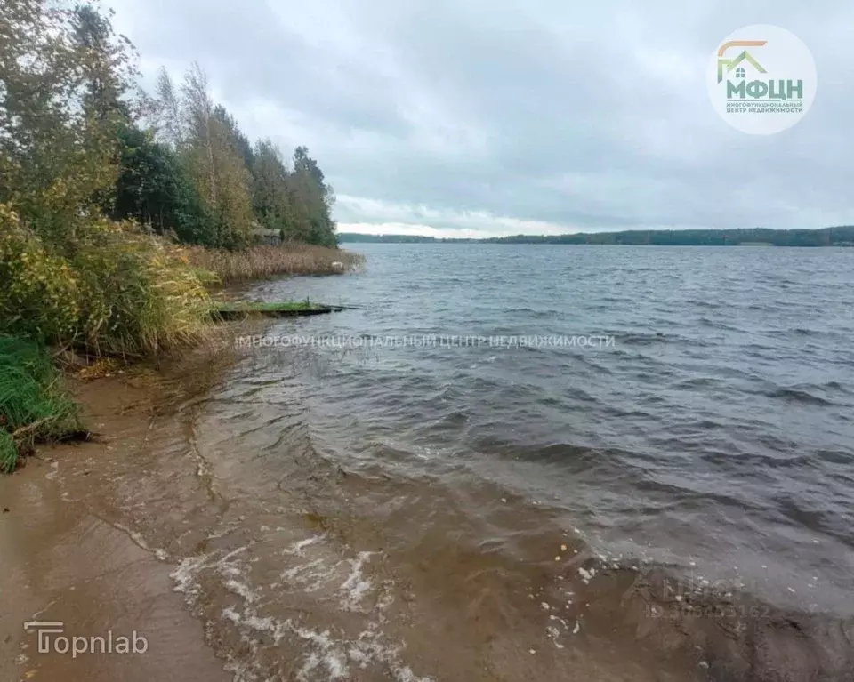 Участок в Карелия, Пряжинский район, Эссойльское с/пос, д. Ангенлахта  ... - Фото 1