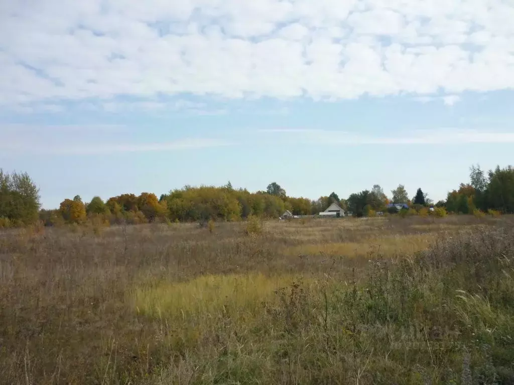 Участок в Рязанская область, Шиловский район, Мосоловское с/пос, д. ... - Фото 2