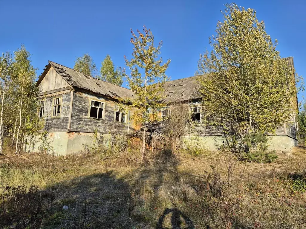 Помещение свободного назначения в Ярославская область, Мышкинский ... - Фото 1