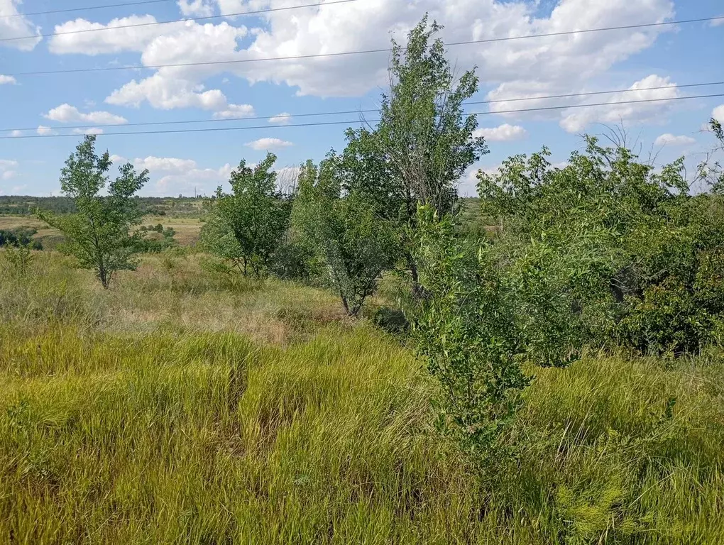 Участок 8,8 сот. (ИЖС) - Фото 0