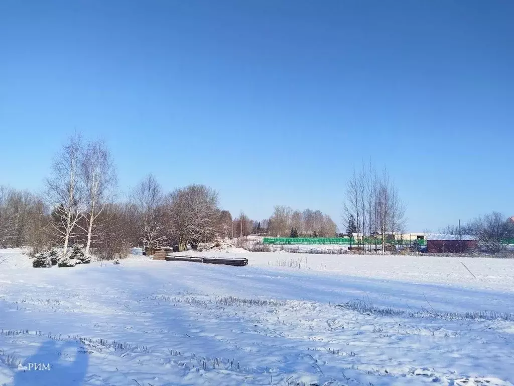 Участок в Вологодская область, Череповецкий район, Югское ... - Фото 0