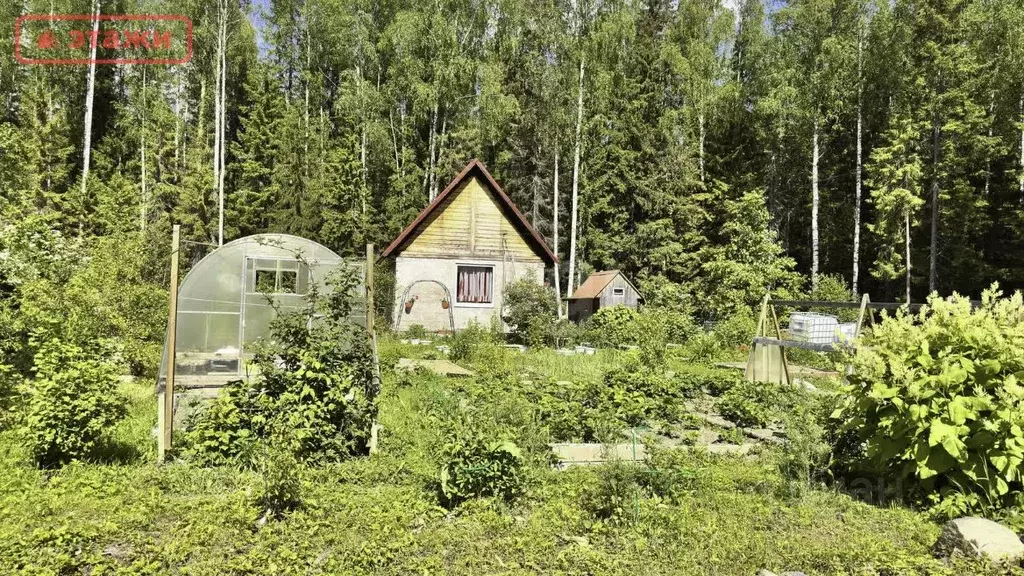 Дом в Карелия, Кондопожский район, Новинское с/пос, Карелия СОТ 15 (29 ... - Фото 1