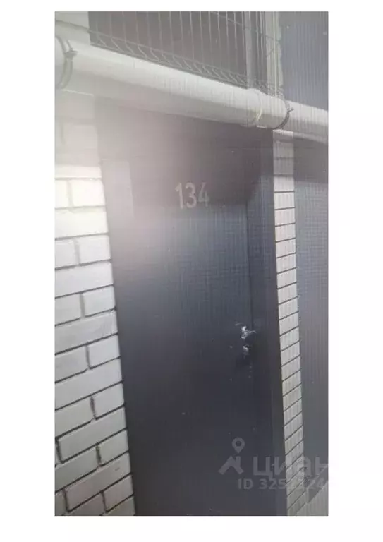 Помещение свободного назначения в Новосибирская область, Новосибирск ... - Фото 1