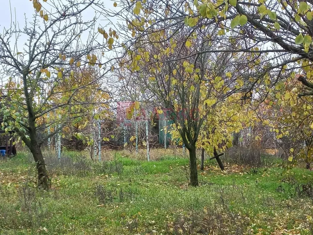 Участок 6 сот. (СНТ, ДНП) - Фото 0