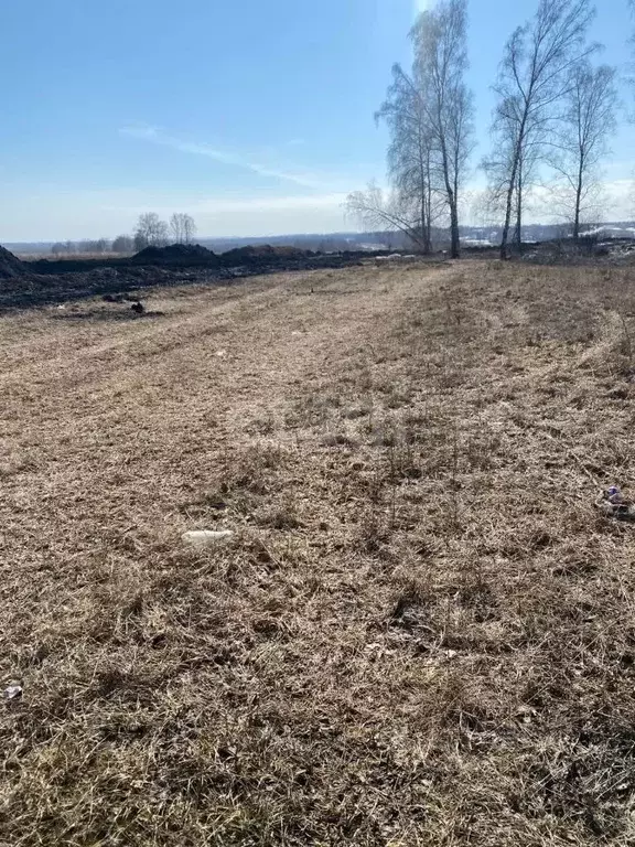 Участок в Кемеровская область, Кемеровский муниципальный округ, с. ... - Фото 1