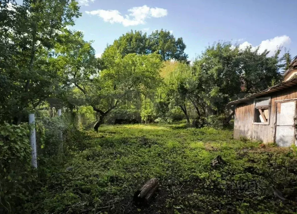 Участок в Новгородская область, Великий Новгород Район Торговая ... - Фото 1