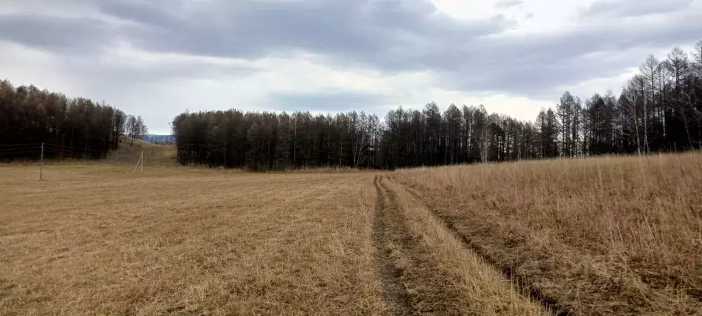 Участок в Алтай, Усть-Канский район, с. Владимировка  (8500.0 сот.) - Фото 1