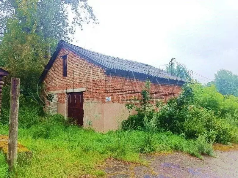 Дом в Псковская область, Пушкинские Горы рп ул. Пушкинская, 14 (61 м) - Фото 0