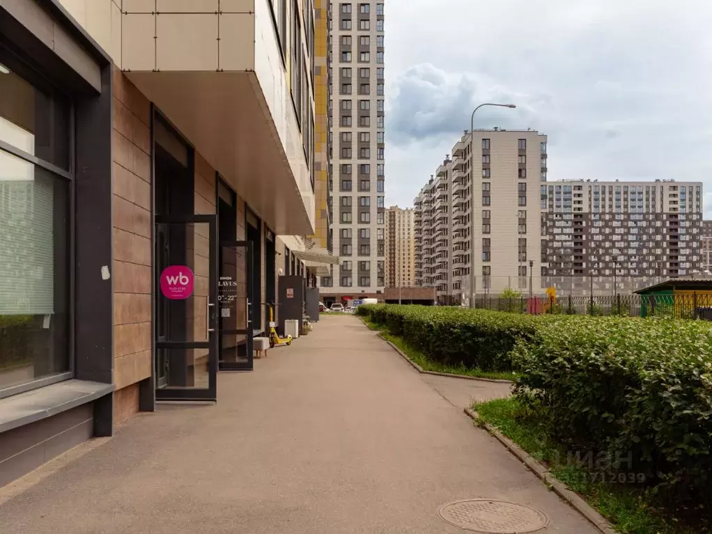 Студия Санкт-Петербург ул. Ультрамариновая, 8 (23.7 м) - Фото 1