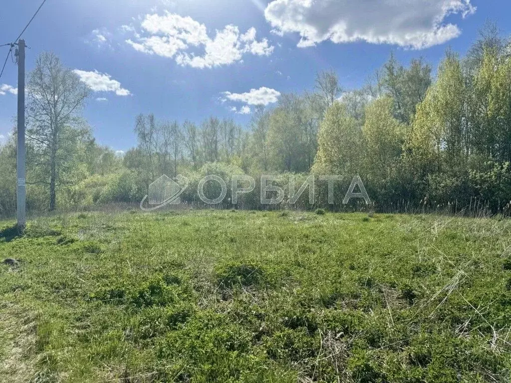 Участок в Тюменская область, Тюменский район, Лесник-2 СНТ ул. ... - Фото 1