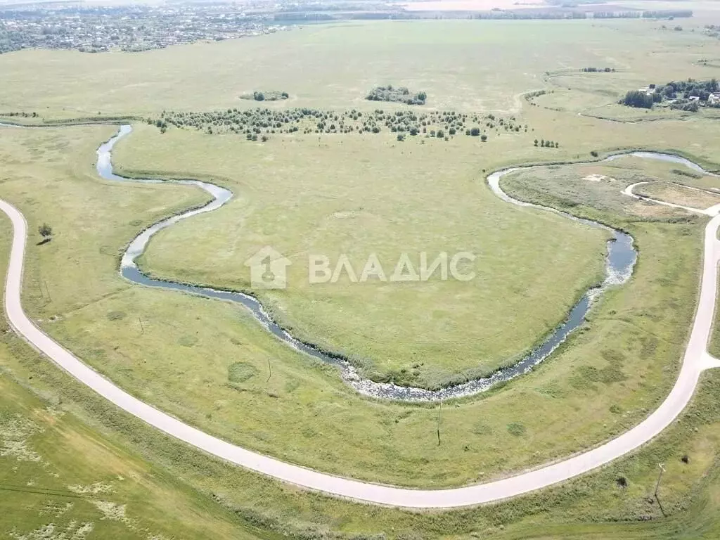 Участок в Владимирская область, Суздальский район, Селецкое ... - Фото 1