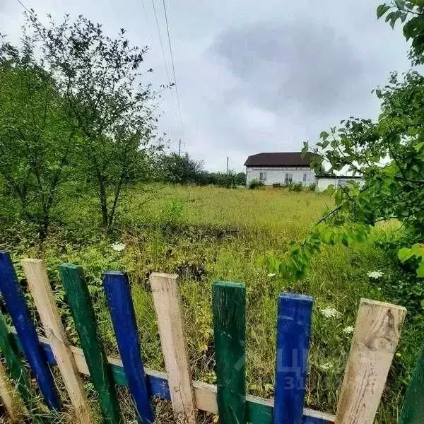 Участок в Белгородская область, Яковлевский муниципальный округ, с. ... - Фото 0