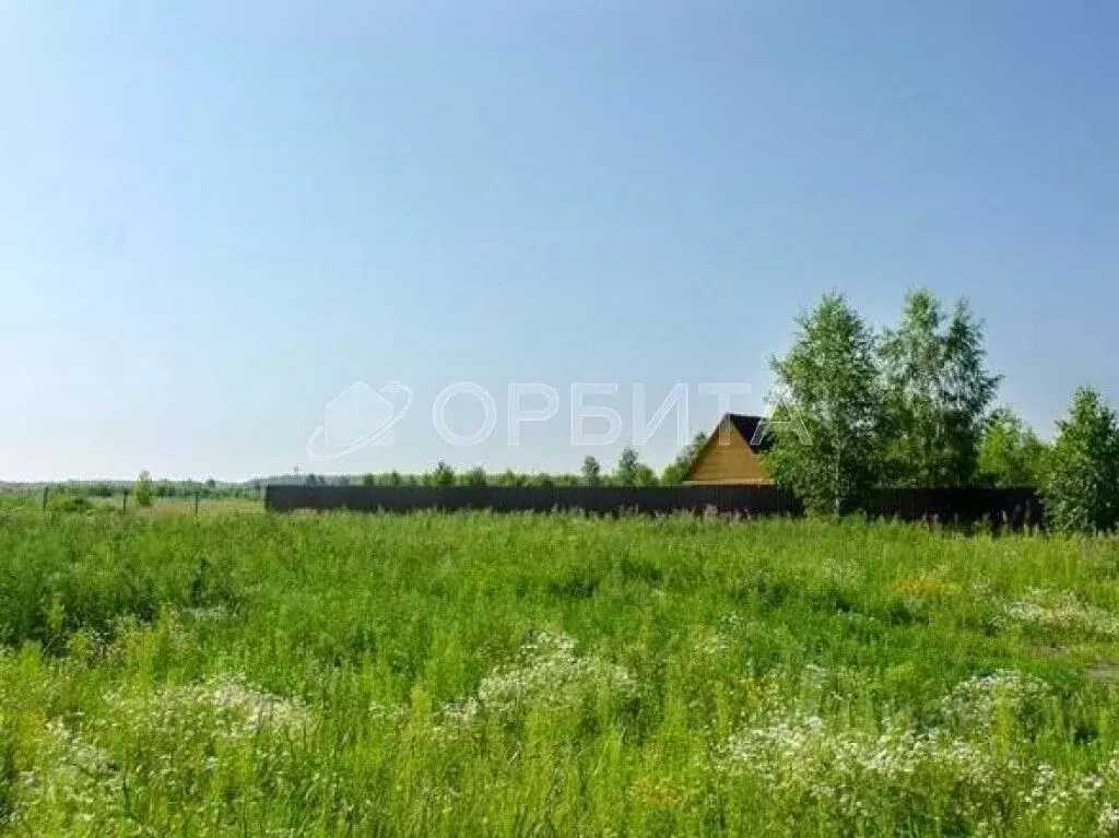 Участок в Тюменская область, Нижнетавдинский район, Царицыно СНТ  (9.5 ... - Фото 0