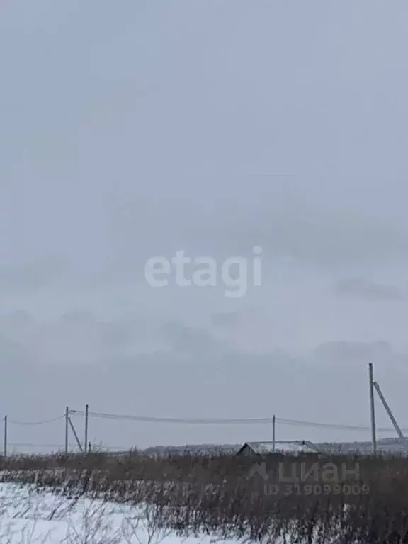 Участок в Белгородская область, Белгородский район, Головинское с/пос, ... - Фото 0