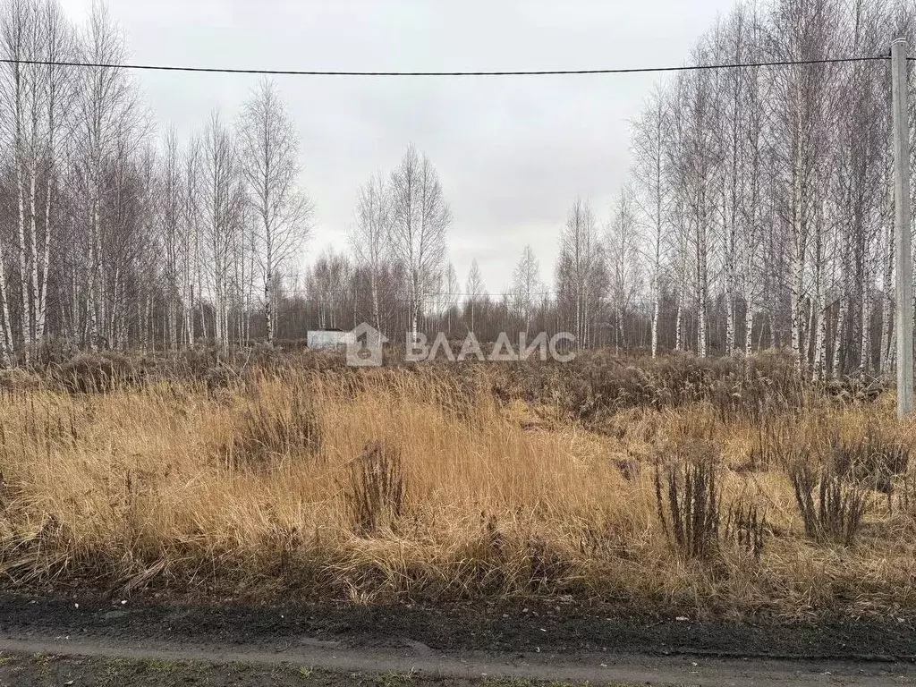 Участок в Пензенская область, Пенза ул. Велозаводская (6.0 сот.) - Фото 1