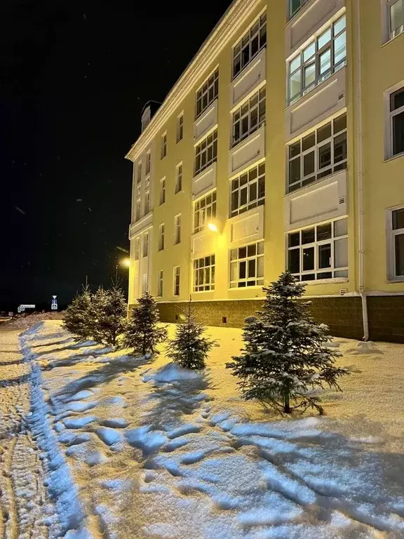 1-к кв. Санкт-Петербург, Санкт-Петербург, Пушкин ул. Анциферовская, ... - Фото 2