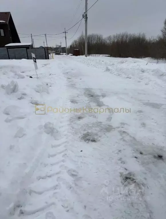 Участок в Новосибирская область, Новосибирский район, Толмачевский ... - Фото 2