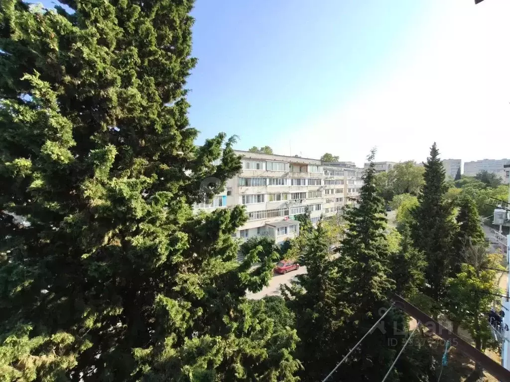 1-к кв. Севастополь ул. Маршала Геловани, 18 (22.6 м) - Фото 1