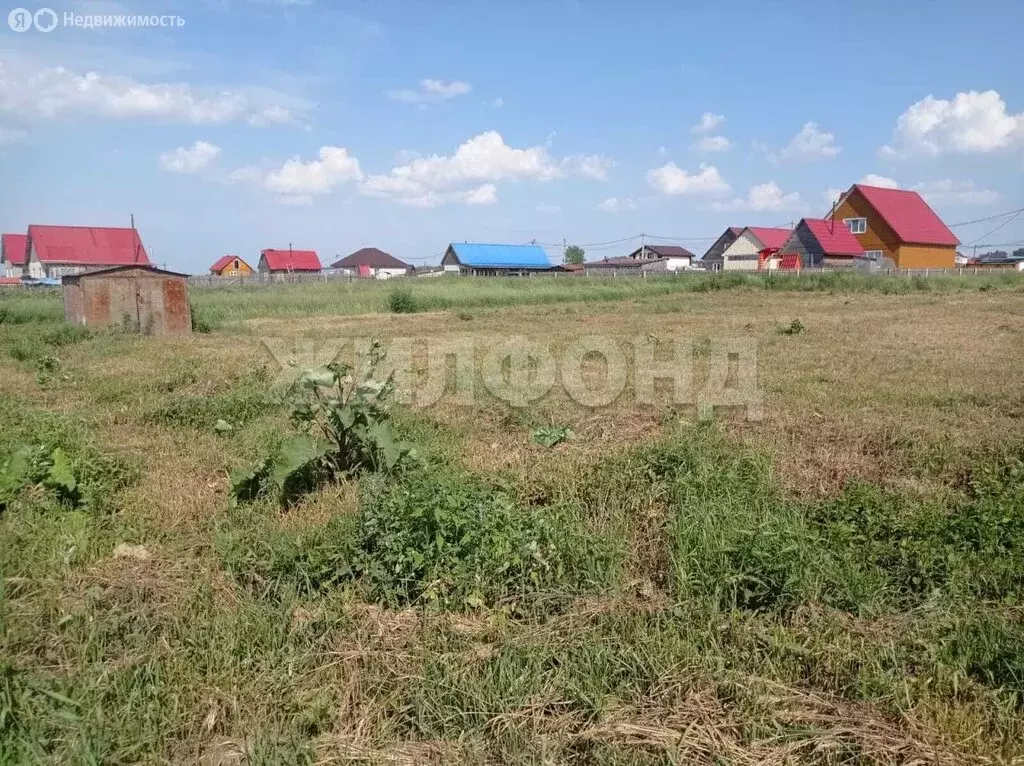 Участок в Новосибирская область, рабочий посёлок Коченёво, Тихая улица ... - Фото 0