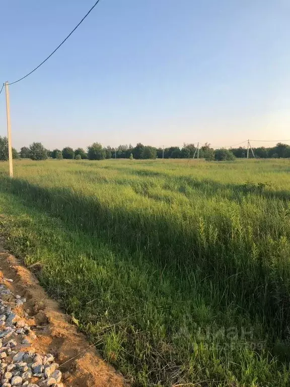 Участок в Московская область, Раменский муниципальный округ, ... - Фото 1
