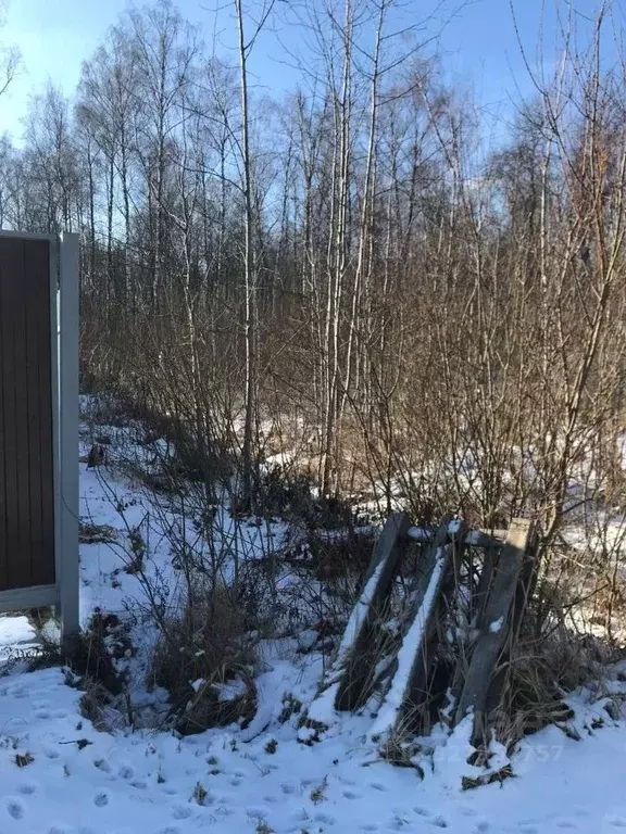 Участок в Московская область, Богородский городской округ, Березка-2 ... - Фото 1
