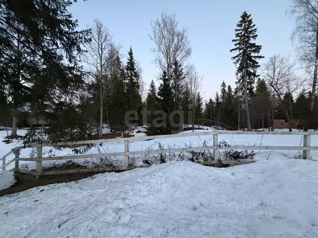 Участок в Московская область, Рузский муниципальный округ, Руза Лес дп ... - Фото 1