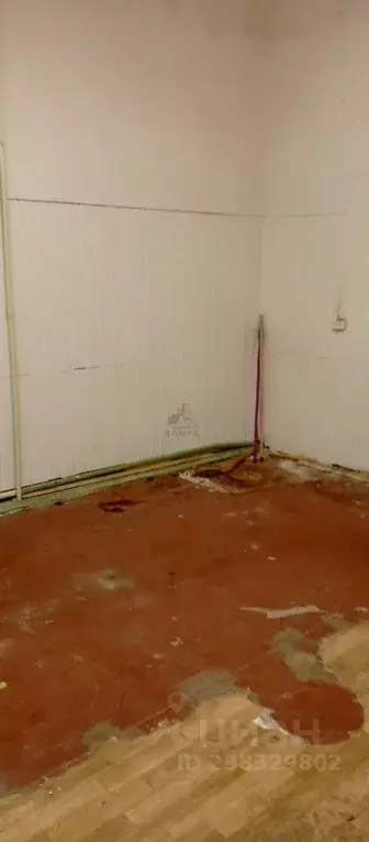 Торговая площадь в Московская область, Раменский муниципальный округ, ... - Фото 1