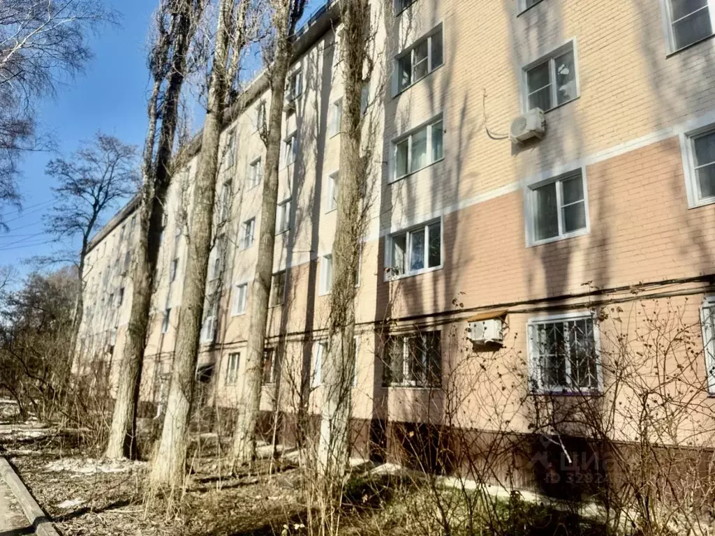 1-к кв. Липецкая область, Липецк ул. Циолковского, 5/1 (19.0 м) - Фото 1