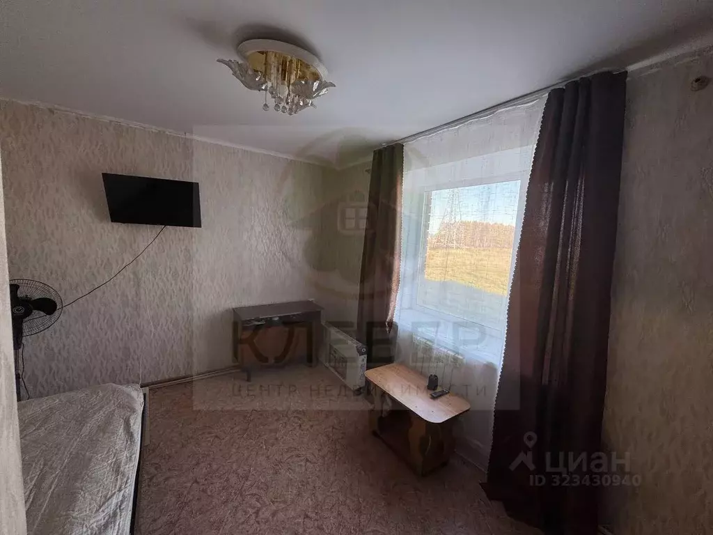 1-к кв. Башкортостан, Кушнаренковский сельсовет, с. Кушнаренково ул. ... - Фото 1