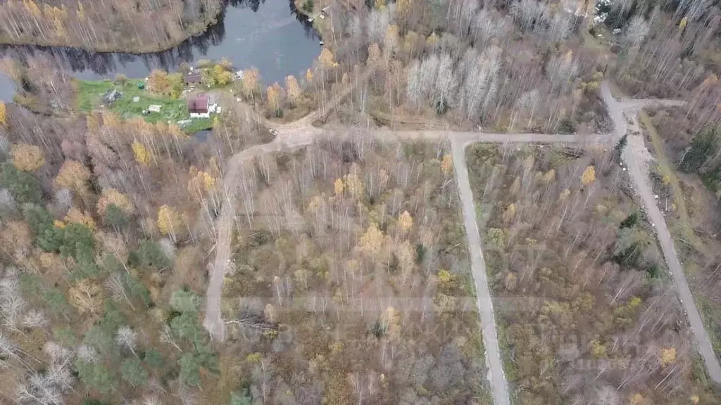 Участок в Ленинградская область, Приозерское городское поселение, пос. ... - Фото 1