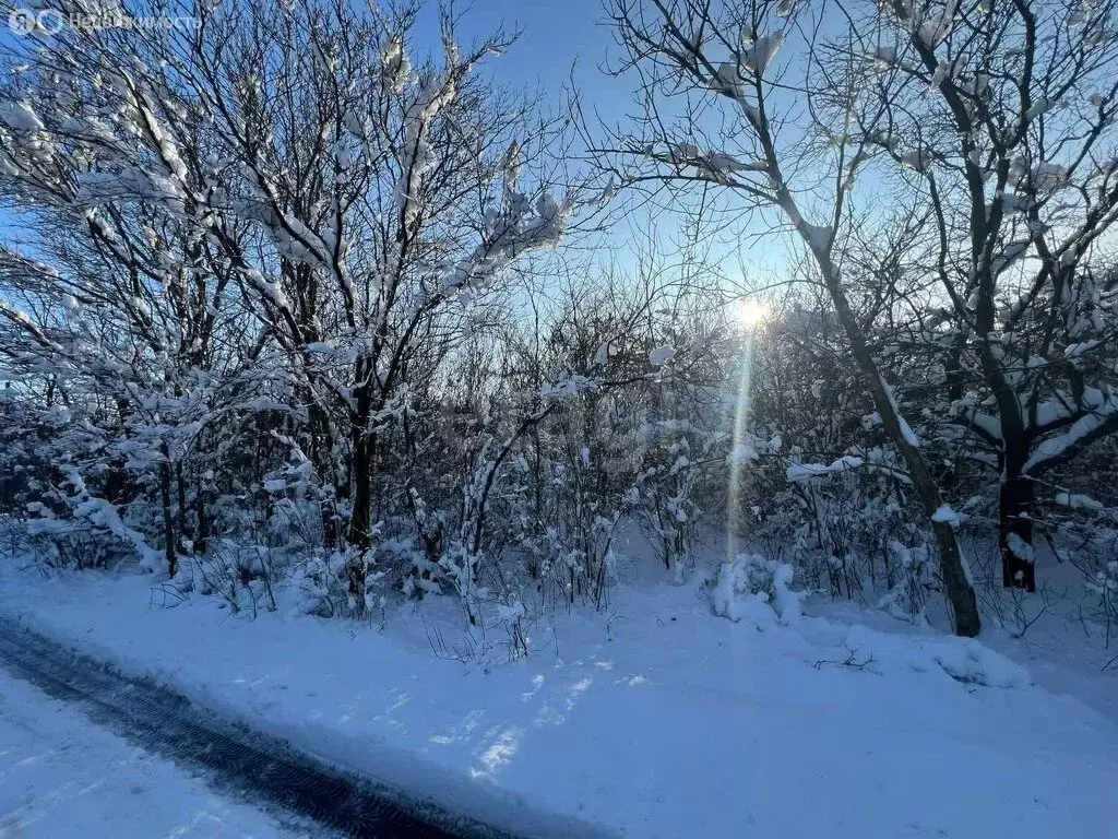 Участок в Новочеркасск, садовое товарищество № 12, Войсковая улица (6 ... - Фото 1