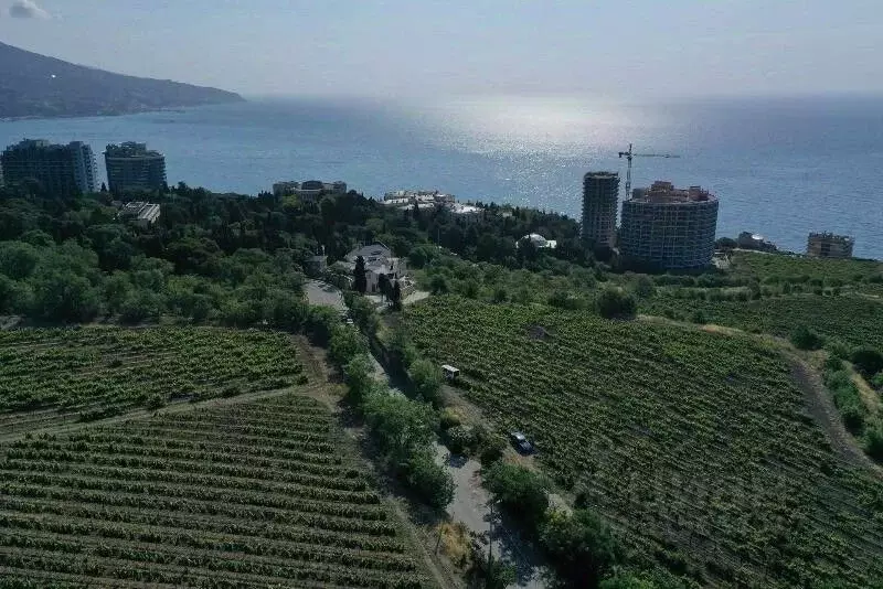 Дом в Крым, Ялта муниципальный округ, Ливадия пгт ул. Виноградная, 46 ... - Фото 1